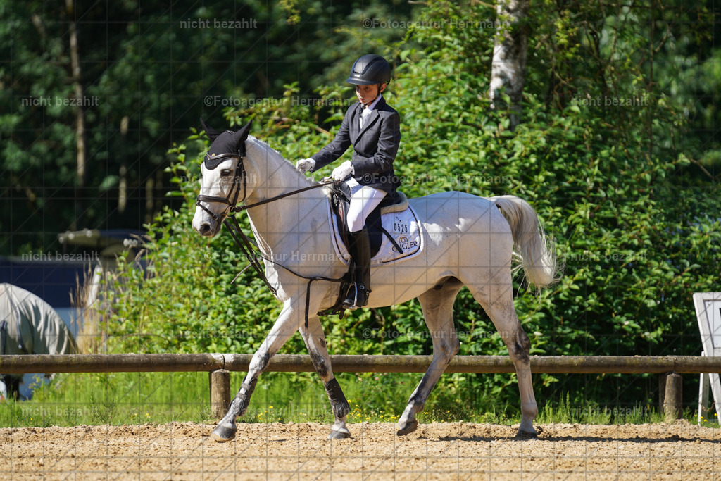 20240706-FAH04658 | Grafing Turnierfotos, Reitverein Ebersberg, Turnierfotografen Bayern, reitsportbilder, Pferdefotograf, reitsportfotograf, Sportbilder, Reitsportfotografie, Fotoagentur Herrmann, Turnierfotograf