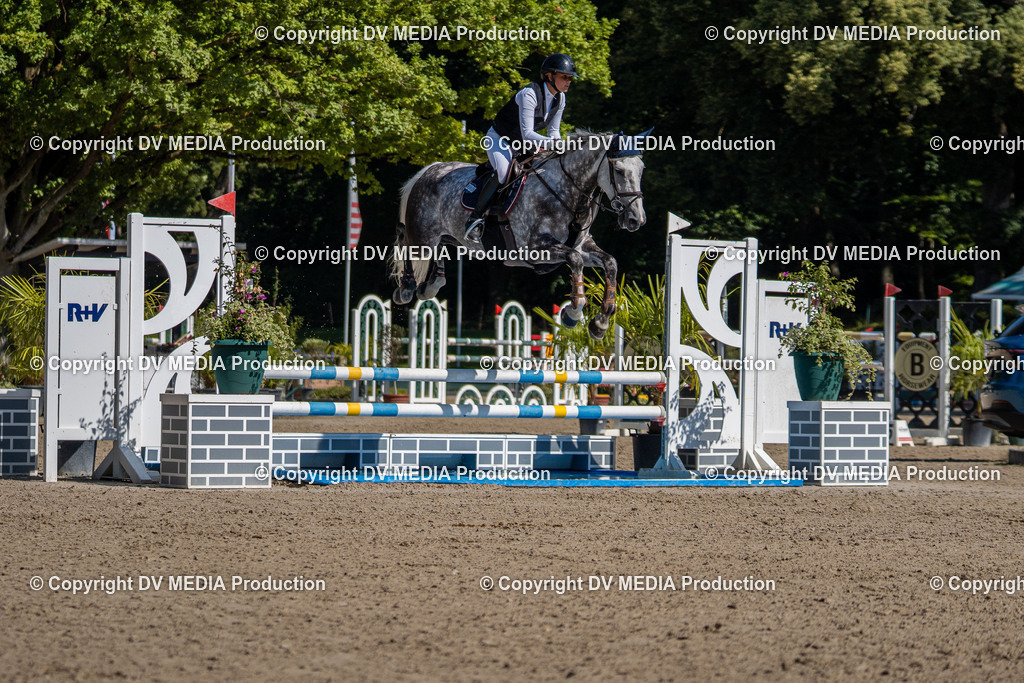 Hessische Tag 3-29 | dv-media-shop - Realisiert mit Pictrs.com