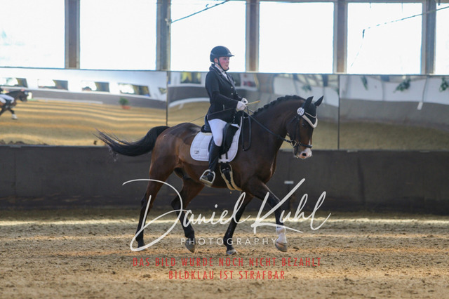 IMG_2875 | Turniersportfotografie; Pferdefotografie; Dressurfotografie