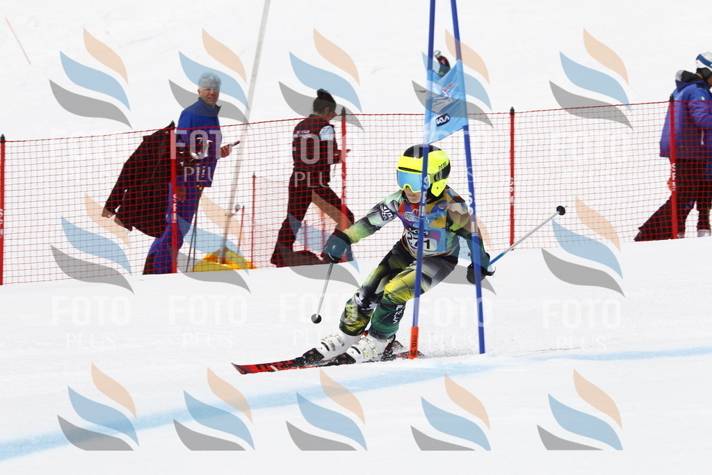 _U3G6797 | holidayphoto