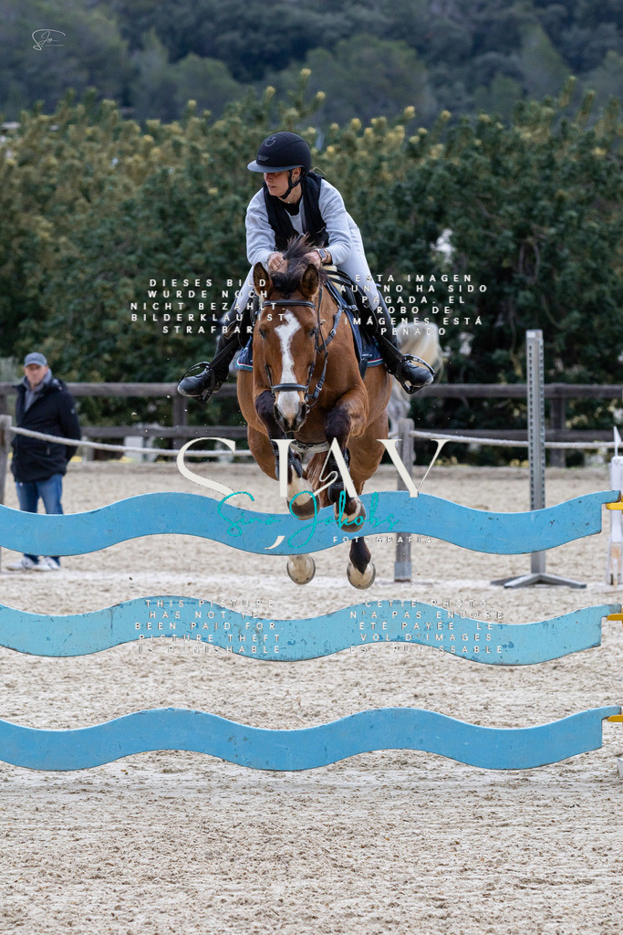 IMG_4222 | s-jay-photography - Realisiert mit Pictrs.com