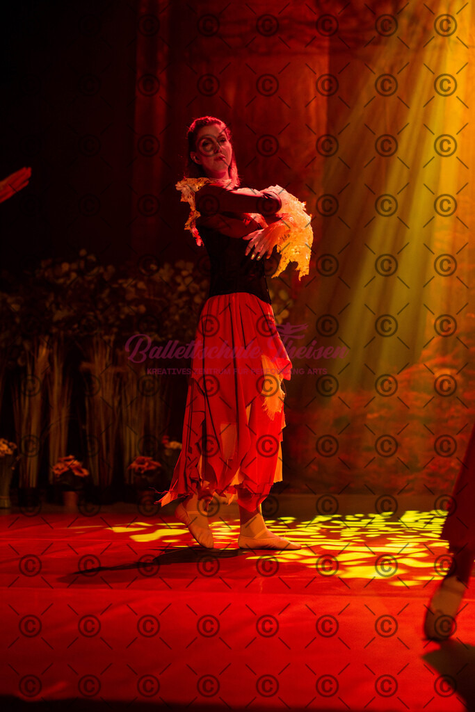 Ballettaufführung-1451 | Bildershop Lem'n Entertainment - Realisiert mit Pictrs.com