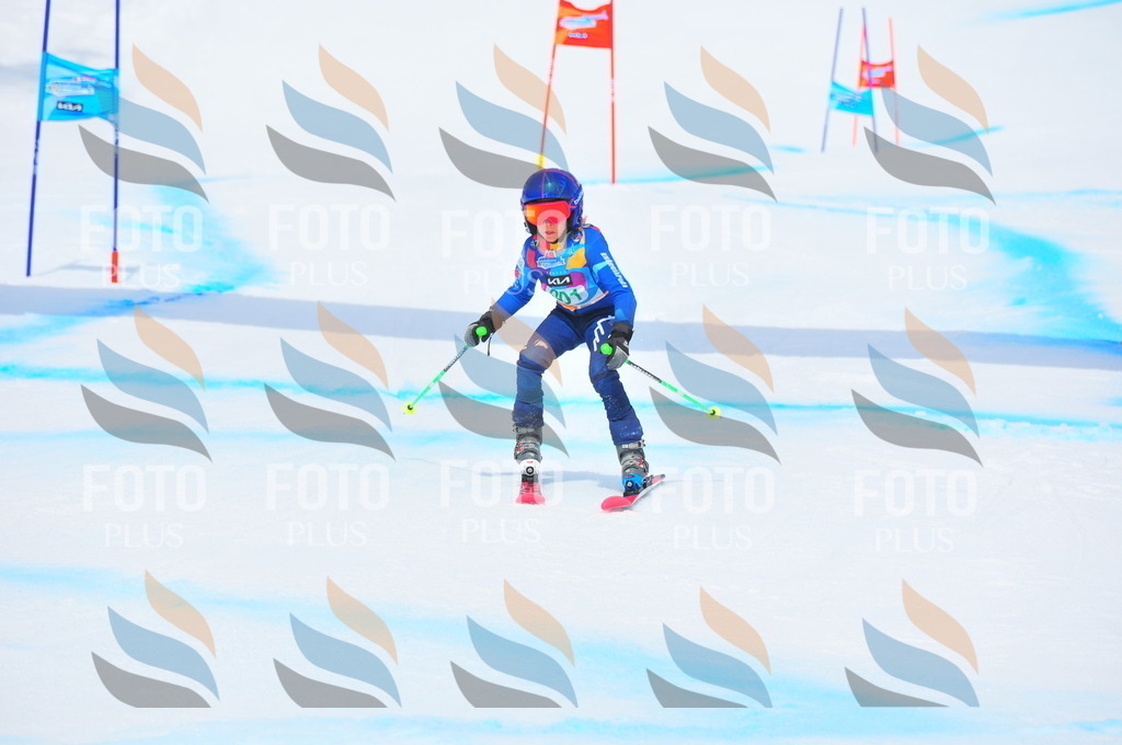 DSC_1840 | holidayphoto