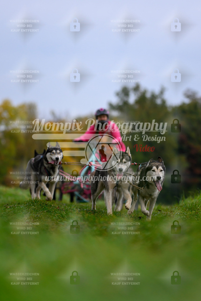 MompixPhotography_CDLBDB2025_DI_Kart-33 | PayLife