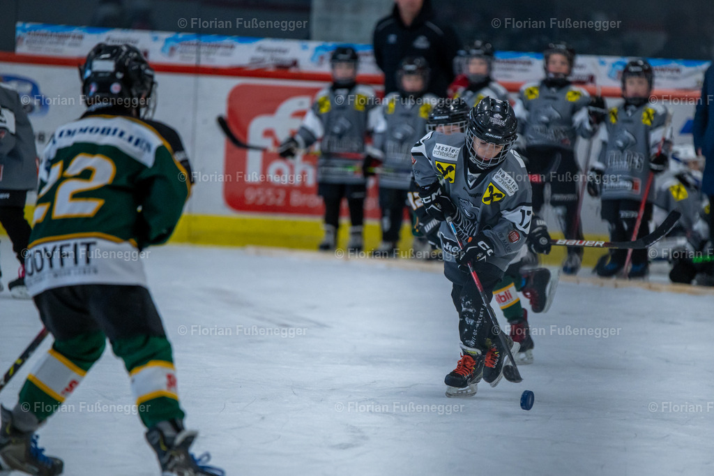 2025-03-01-Bärencup Wil-126 | "Fussifoto.com – Ihr Ansprechpartner für hochwertige Fotografie! Entdecken Sie kreative Bilder und professionelle Dienstleistungen. Kontaktieren Sie uns für Ihre Projekte!"
