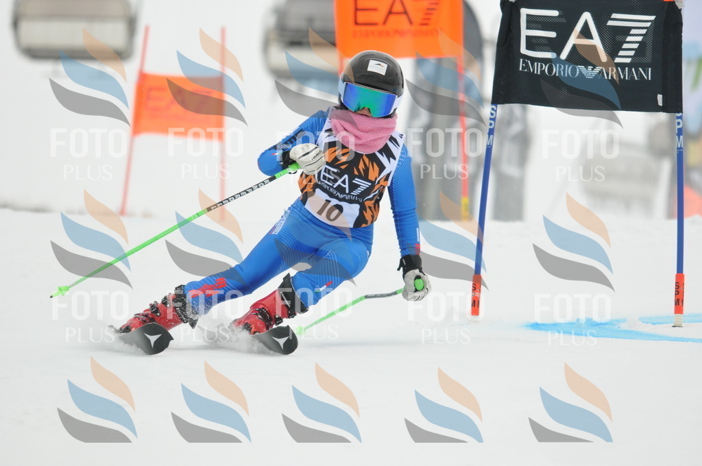 DSC_7383 | holidayphoto