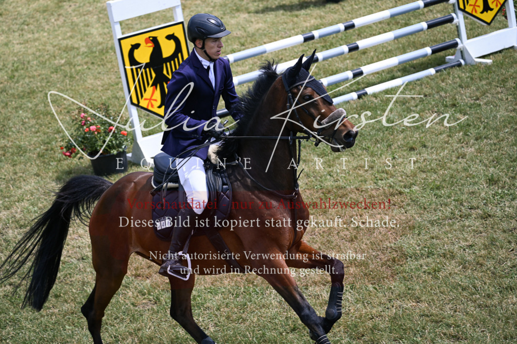 DSC_9560 | Pferde- und Turnierfotografie in Westsachsen. Pferdeportraits, Auftragszeichnungen und intuitive Kunst.