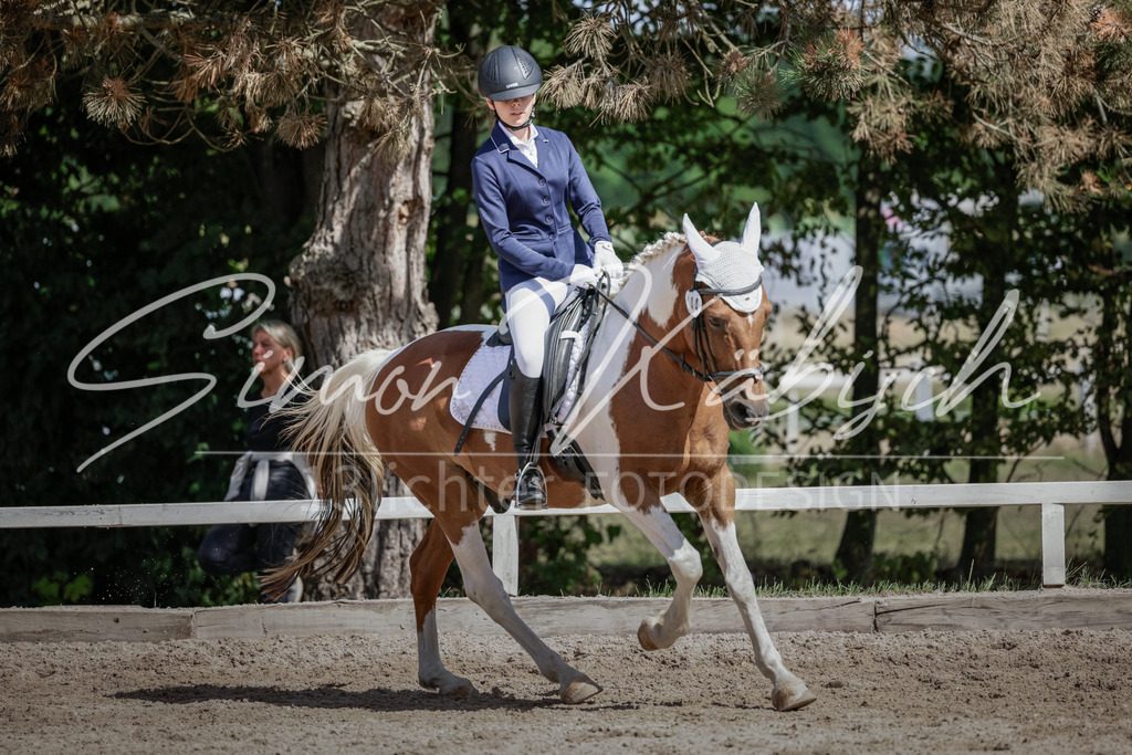 20250906-_3LI5520 | Tierfotografie Pferde, Hunde, Katzen, Haustiere.
Turnierfotografie Reitturniere, Reiten, Springreiten, Dressur in Hanau, dem Main-Kinzig-Kreis und dem Rhein-Main- Gebiet um Frankfurt