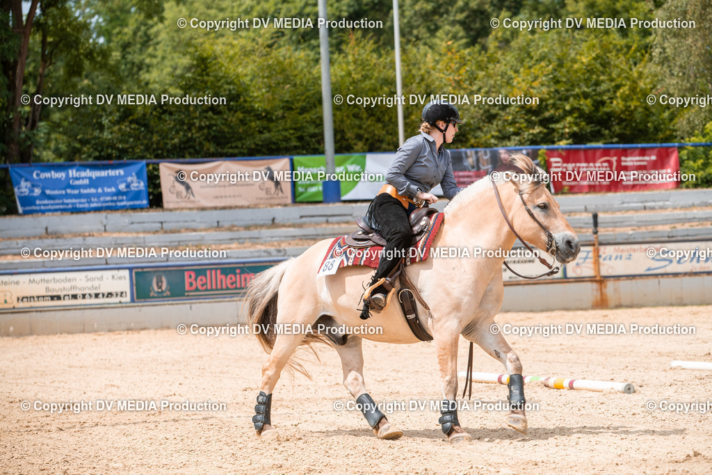 EWP_6305 | dv-media-shop - Realisiert mit Pictrs.com