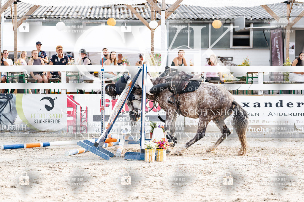 CK907040 | Turnierfotografie Pferdefotografie Trier Rheinland-Pfalz Pferdesport Reitsport Tierfotografie Sportfotografie Pferdevideo Pferdevideografie Equestrianvideography equestrianphotography  - Realisiert mit Pictrs.com