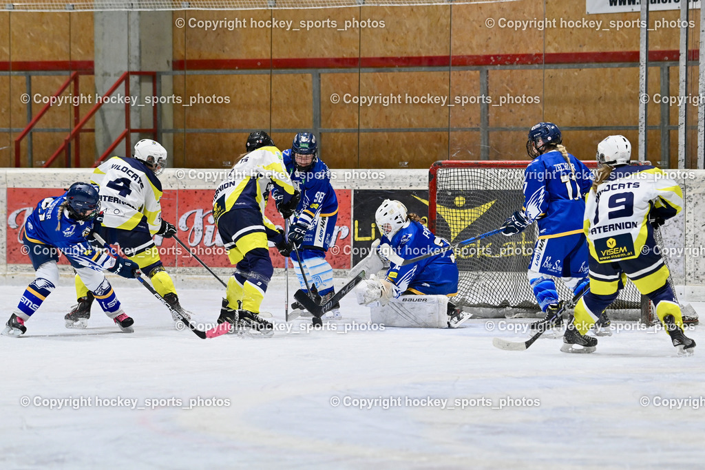 Wildcats Paternion vs. Lady Hawks  | #81 Zussner Julia LADY HAWKS, #4 Oberzaucher Christina WILDCATS PATERNION, #9 Neumann Magdalena WILDCATS PATERNION, #32 Prasser Hannah Sophie LADY HAWKS, #11 Zechner Annika LADY HAWKS, #19 Knes Julia WILDCATS PATERNION, Wildcats Paternion vs. Lady Hawks , Wildcats Paternion vs. Lady Hawks  am 27.01.2025 in Spittal an der Drau (Eissportzentrum Spittal), Austria, (Photo by Bernd Stefan)