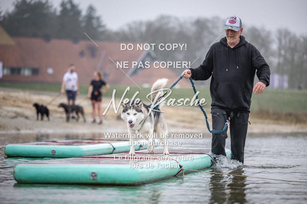 nelerasche_Hulsbeek_Sa0845-1030_231 | nelerasche