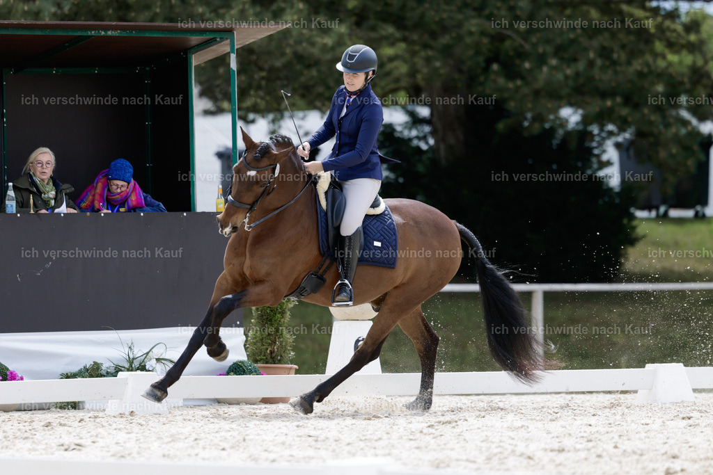 PI26_DR_758_Stoibphotography_AM10224.jpg | working equitationturnier fotograf videograf stoibphotography marixx film working equitation deutschland reitsport turnierfotografie eventfotografie equestrian events