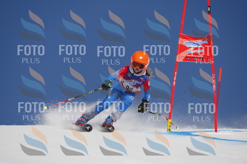 _W1G0474 | holidayphoto