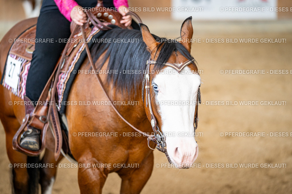 DSC08294 | Pferdegrafie