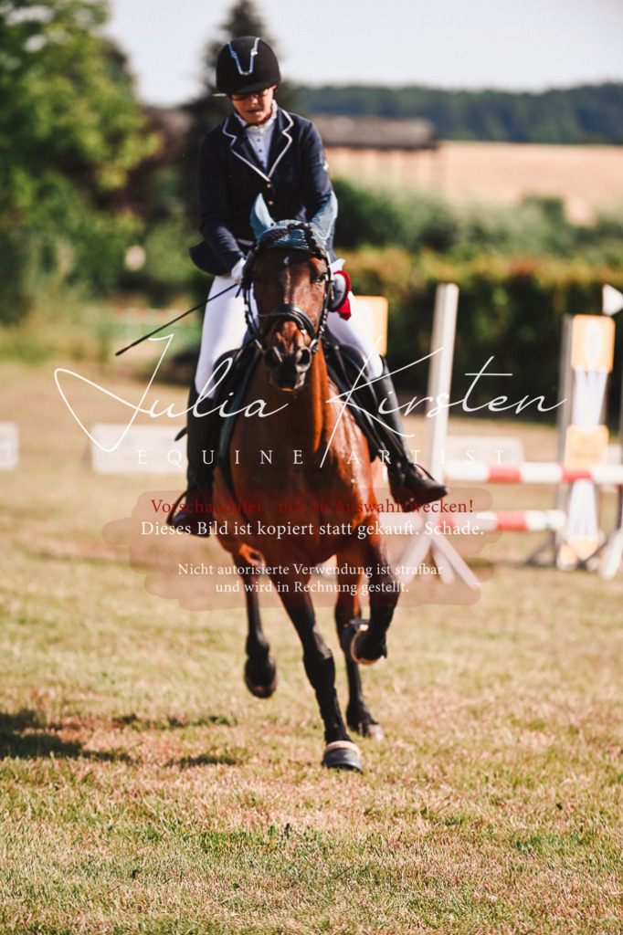 DSC_7400 | Pferde- und Turnierfotografie in Westsachsen. Pferdeportraits, Auftragszeichnungen und intuitive Kunst.