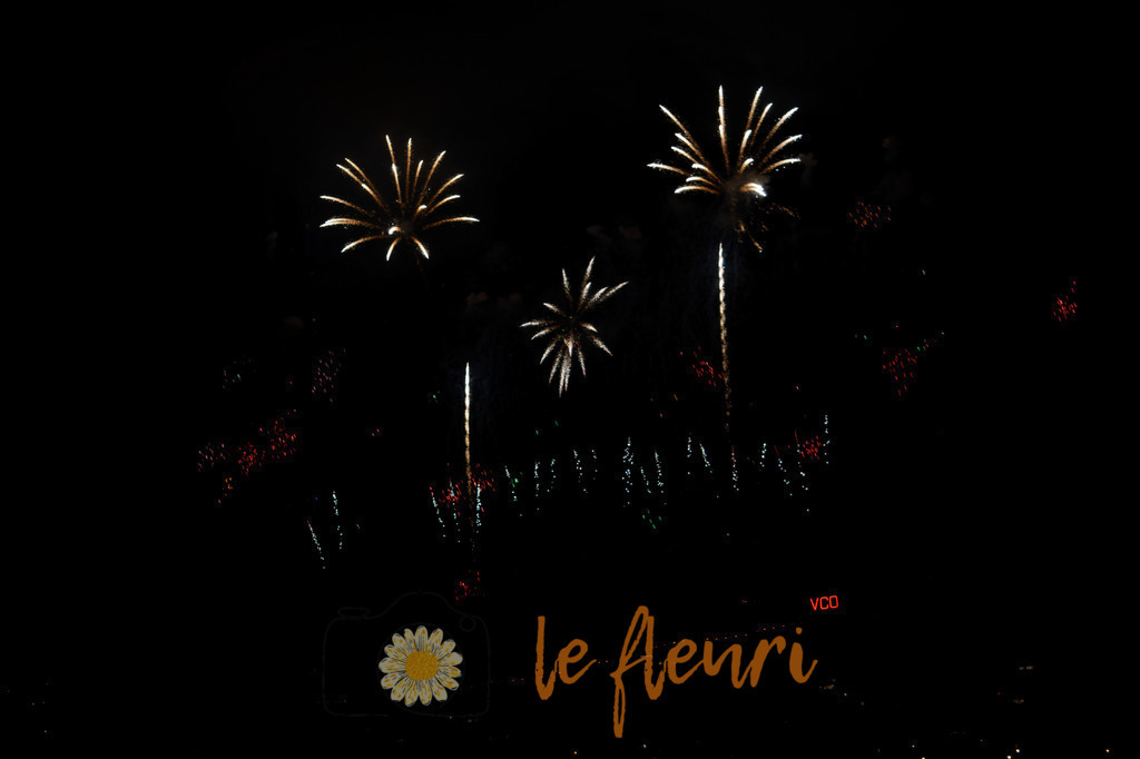 Vogelherdclub | Dies ist der Shop von Florian Blum - le fleuri. Langenthal, Bern, Schweiz. Sie können hier meine oder ihre eigenen Fotos als Fotoprodukte kaufen. Tassen, Schlüsselanhänger, Taschen etc. können Sie hier gestalten.  - Realisiert mit Pictrs.com