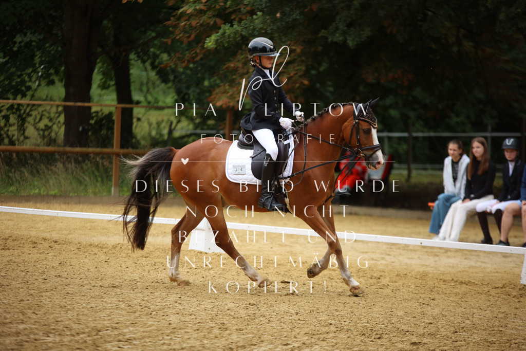 IMGM2594 | pl-fotografie