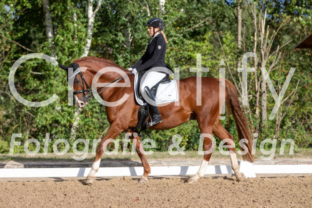 IMG_6173 | Creatify Fotografie