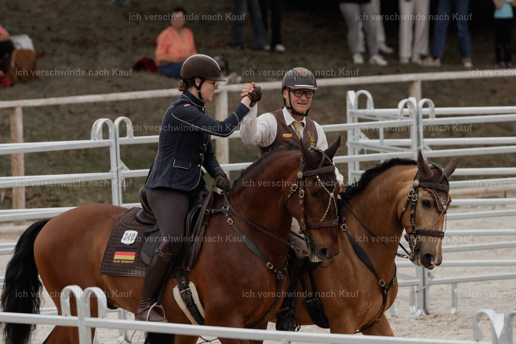 WE__Stoib_Rinder_PI2025_3041 | Pferd International München 2025