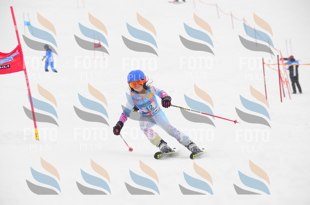 C0615 | holidayphoto