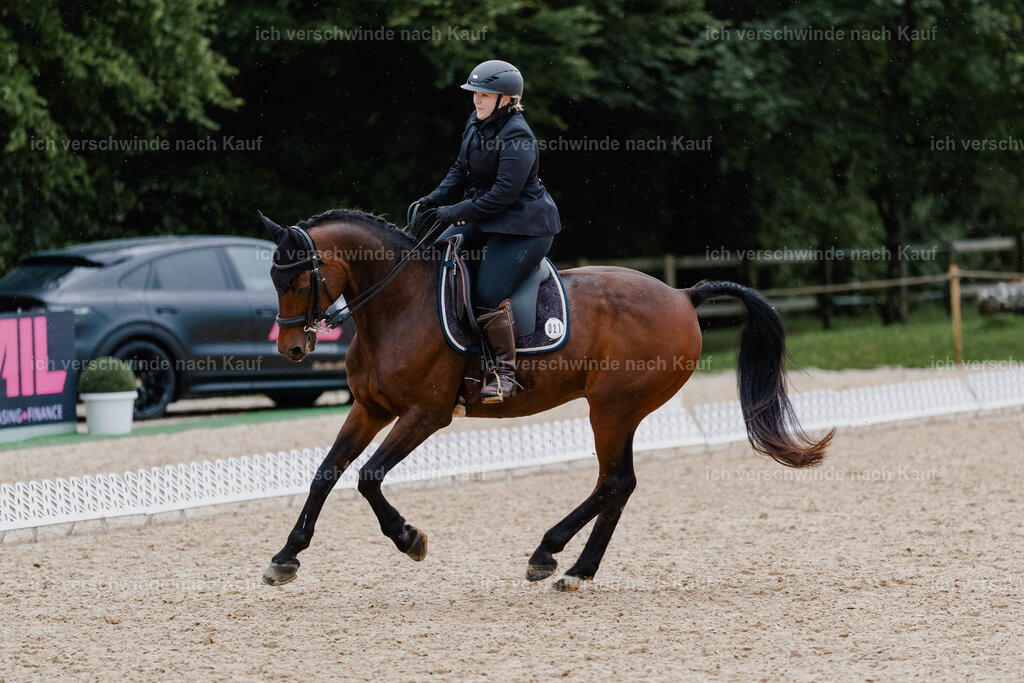 Lara_21_FHC2025-7 | working equitationturnier fotograf videograf stoibphotography marixx film working equitation deutschland reitsport turnierfotografie eventfotografie equestrian events
