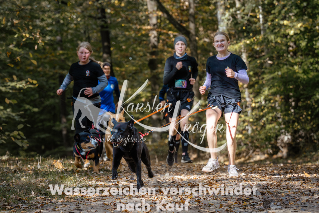 1246_ZZ96029 | kk-dogfotos