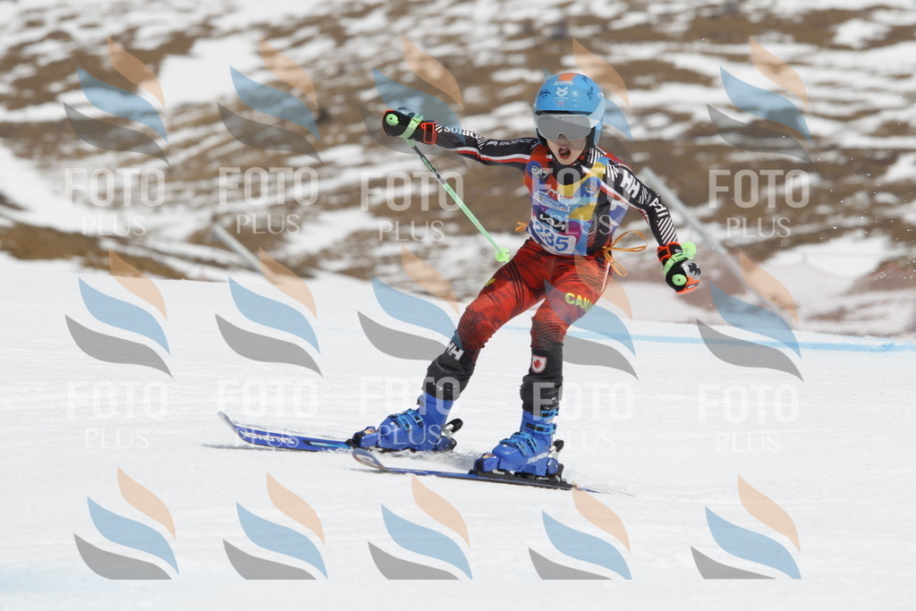 _U3G2594 | holidayphoto