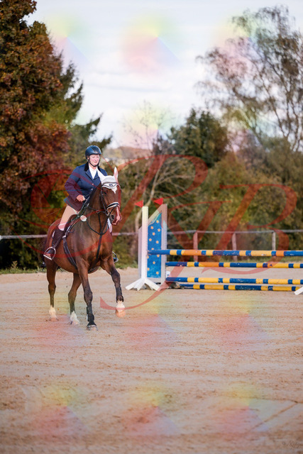 2026_10_03_Siefer-Hof_170337_Z81_00247163 | Professionelle Reitsport-, Turnier- und Eventfotografie von Robert Broda. Galerien mit ausgewählten und bearbeiteten Bildern direkt online ansehen und bestellen.