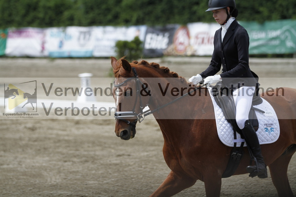 _MG_1365 | equestrian-live-com