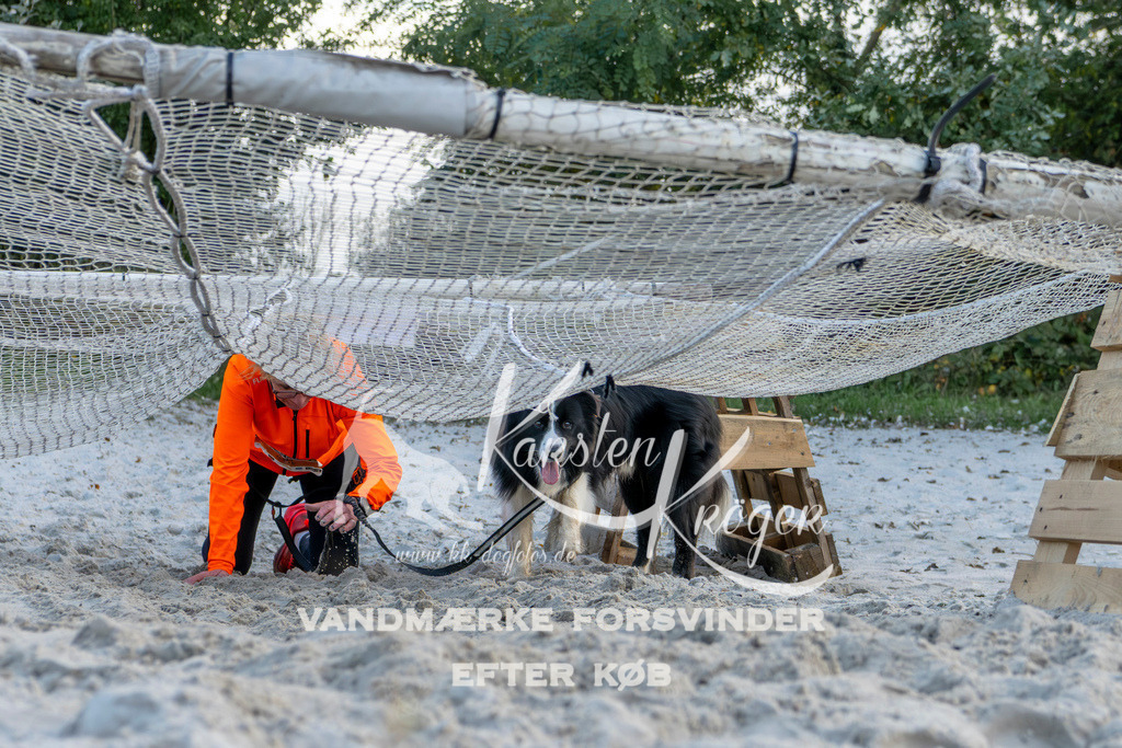 1619_ZZ96929 | kk-dogfotos