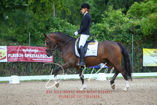 DKP40282 | Turniersportfotografie; Pferdefotografie; Dressurfotografie