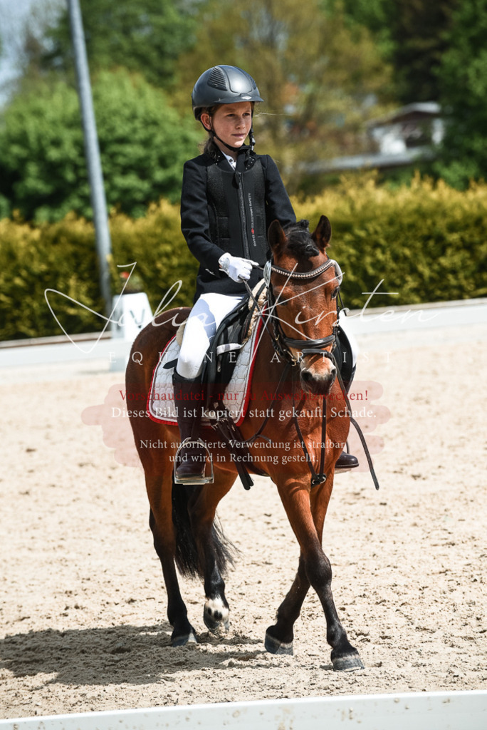 20230518_JK-Röhrsdorf-11-0796 | Pferde- und Turnierfotografie in Westsachsen. Pferdeportraits, Auftragszeichnungen und intuitive Kunst.