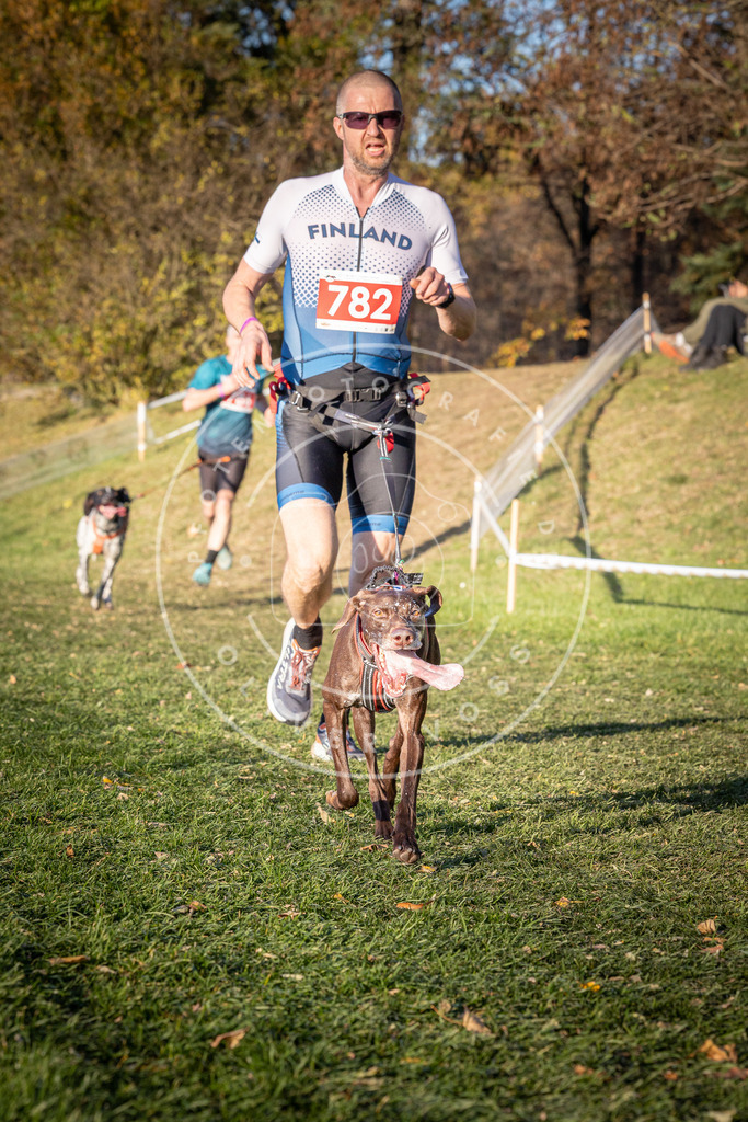 CaniXpix_0L8A0190 | Hundefotografie, Tierfotograf, Pfotenfotografie, Fotoshooting Hund, Hunde Portrait, Hundesport, Hundeportraits, Heideshooting, Hunde, Sportfotograf, Hundefotograf, Turnierhundsport, THS,  - Realisiert mit Pictrs.com