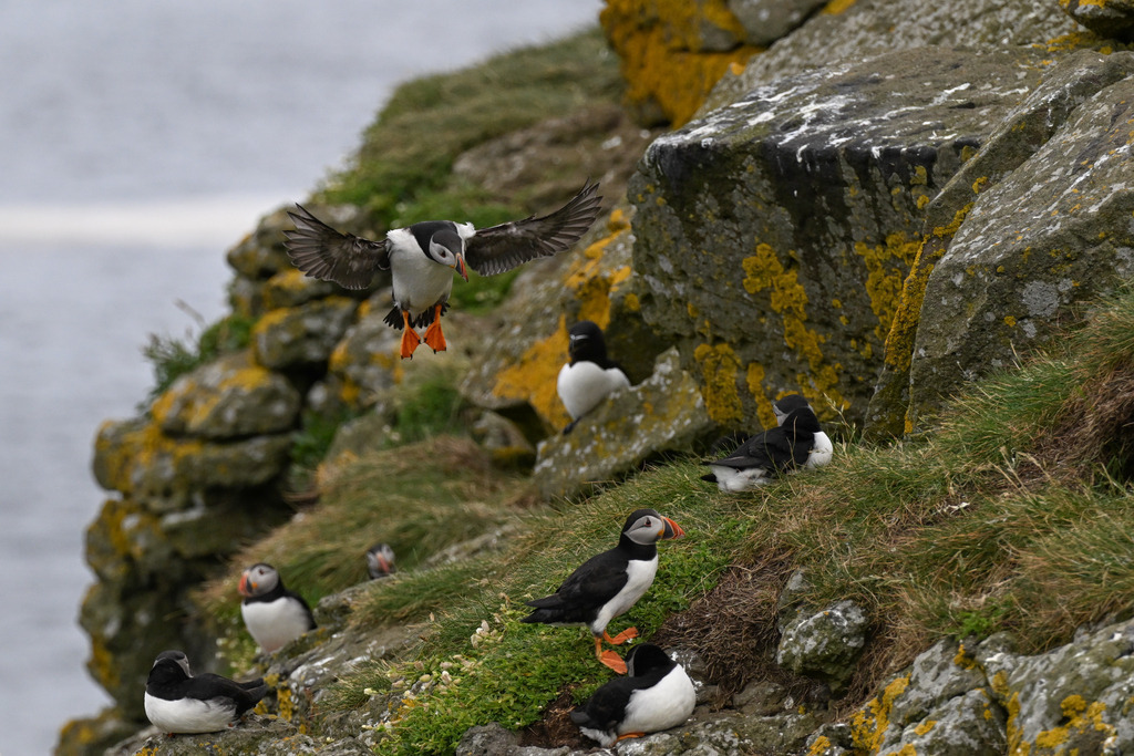 DSC_7067 | Ich fotografiere aus Leidenschaft auf meinen Reisen und im Rhein- / Ruhrgebiet , Landschaften, Tiere und Porträts. 

Kaufen Sie die Bilder (u.a. Venedig, Südtirol, Galapagos, Düsseldorf, Indien, Blumen etc.) in einer geschützten Galerie bequem online. - Realisiert mit Pictrs.com