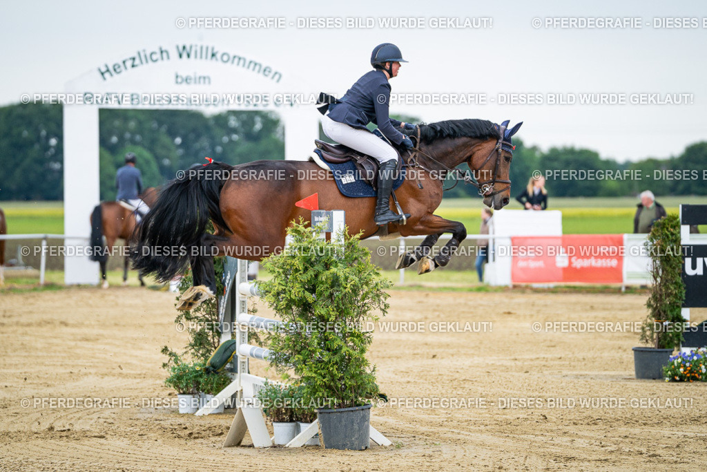 DSC05666 | Pferdegrafie