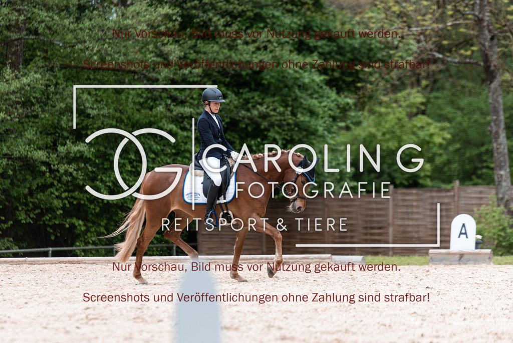 DSC_7054 | Turnierfotografin Carolin Gieschke,Reitsport Turnierfotografie Carolin G Fotografie | Turnierfotos aus Kirchheim/Teck, Esslingen, Stuttgart und dem Bodenseekreis