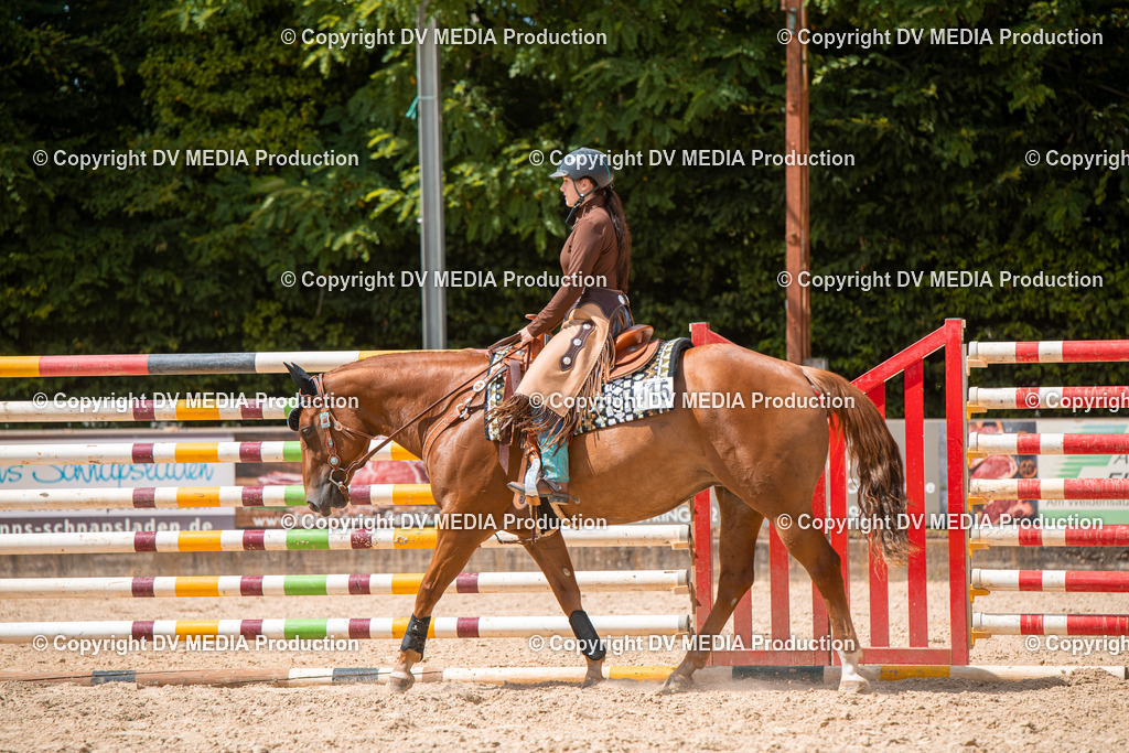 EWP_6666 | dv-media-shop - Realisiert mit Pictrs.com