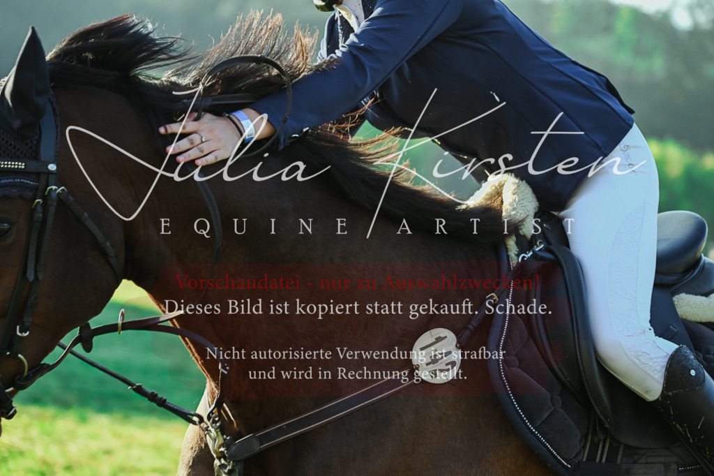 DSC_3990 | Pferde- und Turnierfotografie in Westsachsen. Pferdeportraits, Auftragszeichnungen und intuitive Kunst.