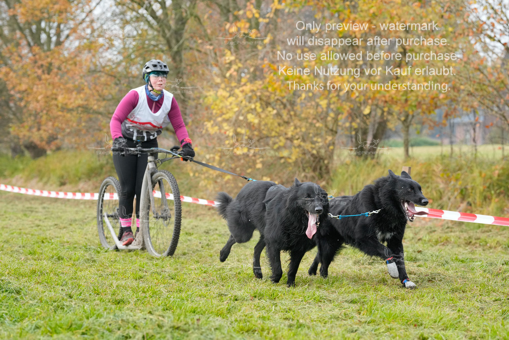 Visbeck_Sa_DS2DR2-150 | stephaniefillaphotographie - Realisiert mit Pictrs.com