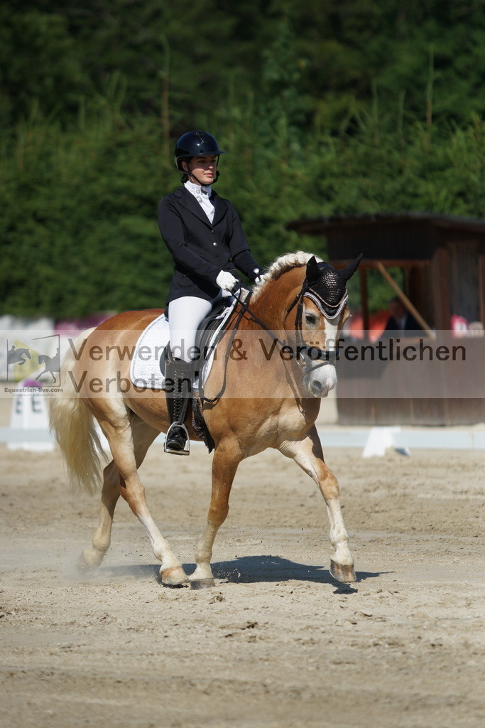 DSC03006 | equestrian-live-com