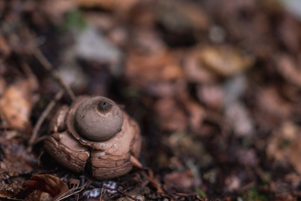 ZD250916094756 | Fotoshop von zweidimensional Fotografie. Ihr Fotograf im Aargau. Abzüge von Ihrem Fotobox Event bestellen.Abzüge von Ihrem Hochzeit bestellen.Abzüge von Ihrem Schulfotograf bestellen.