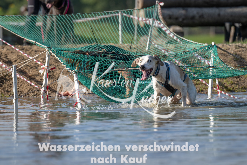 1122_ZZ92536 | kk-dogfotos