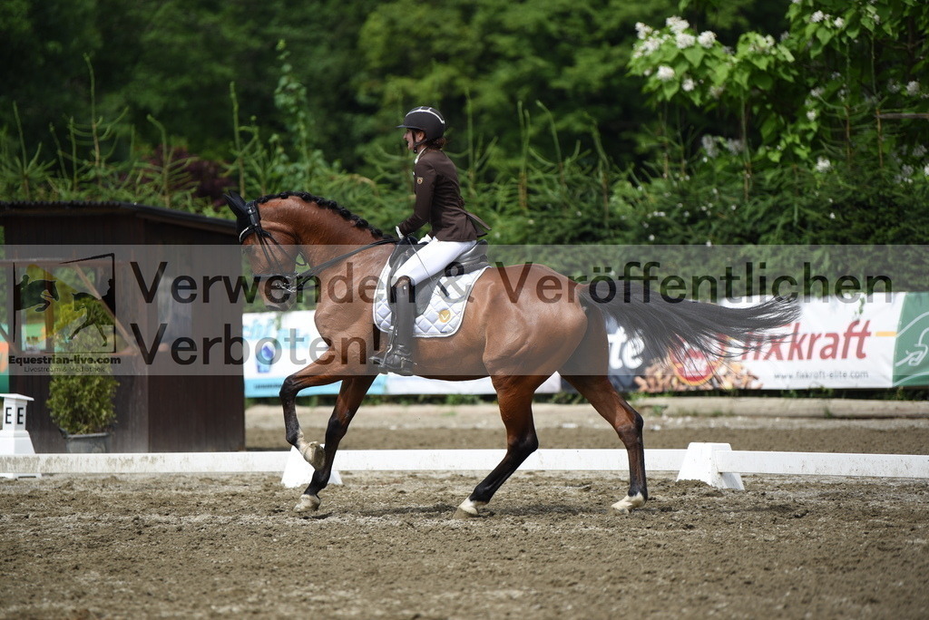 DSC_0915 | equestrian-live-com