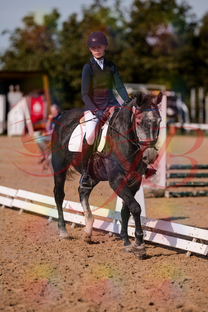 2026_10_03_Siefer-Hof_120028_Z81_02292370 | Professionelle Reitsport-, Turnier- und Eventfotografie von Robert Broda. Galerien mit ausgewählten und bearbeiteten Bildern direkt online ansehen und bestellen.