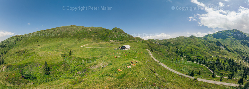 Karnische_Milchstrasse_2024_LC-204 | default