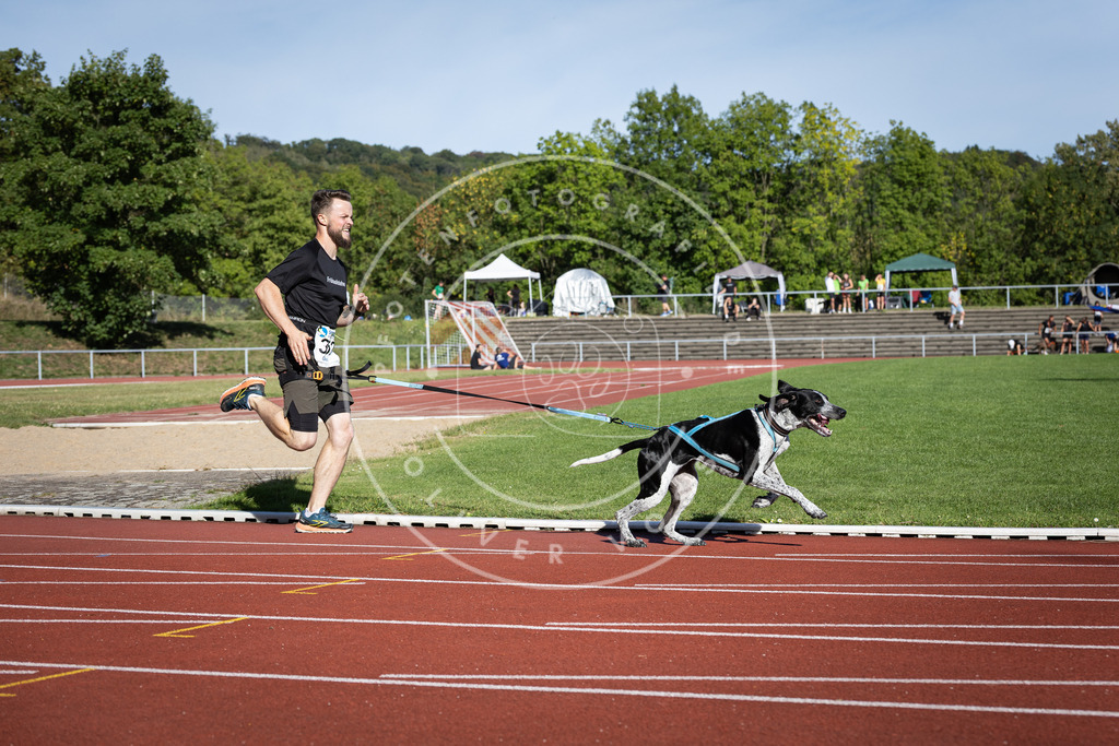 Pfotenfotografie_DV3A0077 | Hundefotografie, Tierfotograf, Pfotenfotografie, Fotoshooting Hund, Hunde Portrait, Hundesport, Hundeportraits, Heideshooting, Hunde, Sportfotograf, Hundefotograf, Turnierhundsport, THS,  - Realisiert mit Pictrs.com