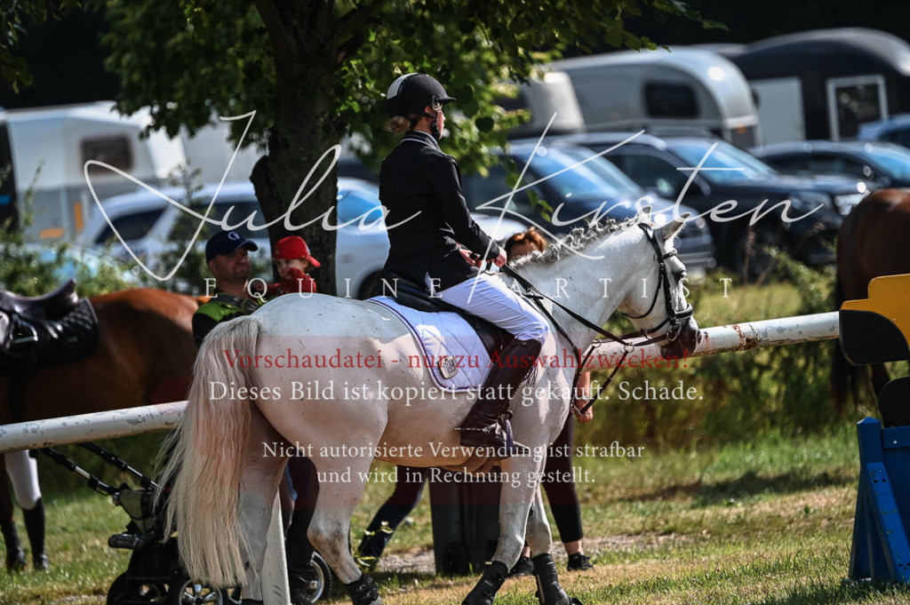 DSC_7741 | Pferde- und Turnierfotografie in Westsachsen. Pferdeportraits, Auftragszeichnungen und intuitive Kunst.