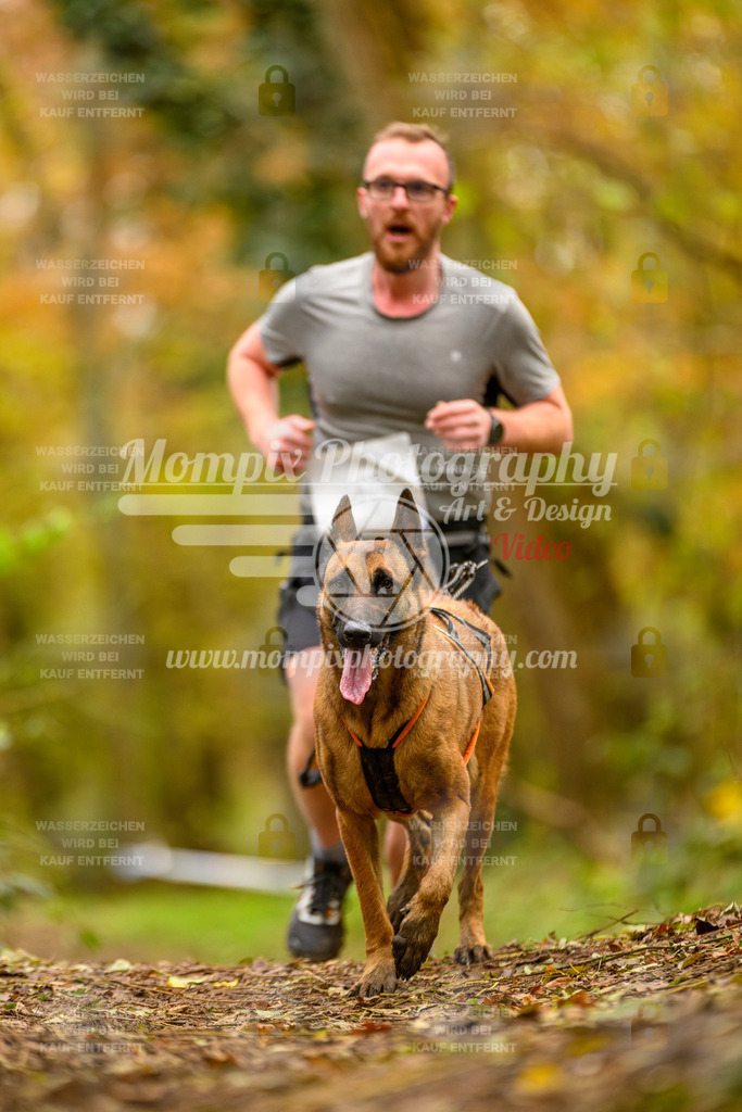 MompixPhotography_Bischwiller24_SA_Canicross-159 | PayLife