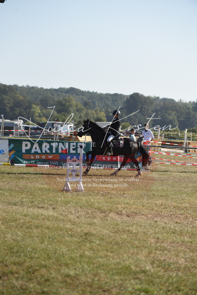 DSC_5753 | Pferde- und Turnierfotografie in Westsachsen. Pferdeportraits, Auftragszeichnungen und intuitive Kunst.